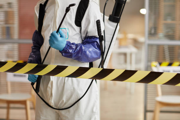 Professional Blood Cleanup technician working in Preston, TX